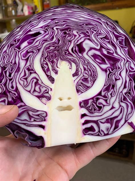 Best Cabbage Images On Pholder The Last Airbender Rareinsults