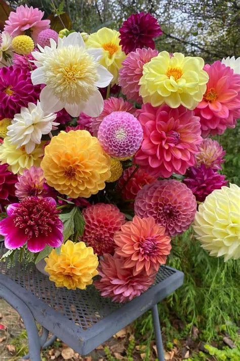 10 Beautiful DIY Dahlia flower Arrangement or bouquet ideas