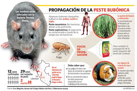 Enfermedades Infecciosas Infecciones Epidémicas Peste Iii