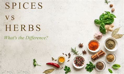 Spices Vs Herbs Whats The Difference