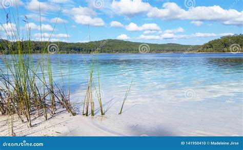 Lake McKenzie stock photo. Image of mckenzie, island - 141950410