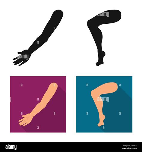 Vector Design Of Body And Part Icon Collection Of Body And Anatomy