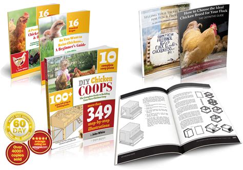 Get Started Raising Chickens & Building Your Own Coop