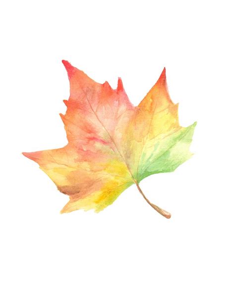 Fall Leaves, Maple Leaf, Painting, Fall Decor, Autumn Leaves, Autumn, Welcome Fall, Colorful ...