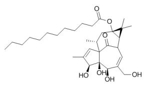 O Dodecanoic Acid Ingenol Ester