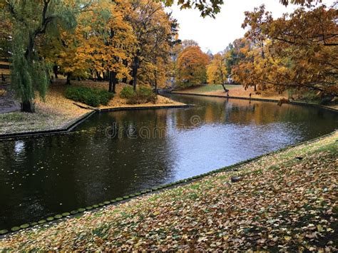 Kleurrijk Herfstlandschap Met Gele Gouden Bladeren Op Bomen Aan De