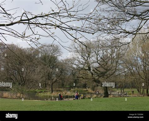 View Of Worden Park On A Sunny Day In Spring Time Wide Open Space To