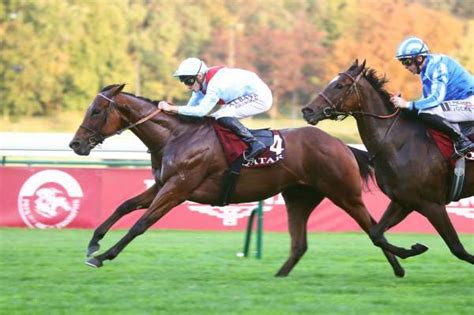 Pronostic Quinté PMU du PRIX DE SAINT CENERI LE GEREI du 4 nov 2023