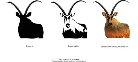 Oryx Standing Illustration Oryx Silhouette Black And White Oryx