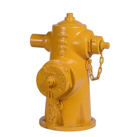 Fire Hydrant 150mm (2 ways) | Philippine Valve