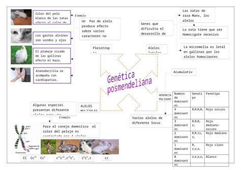 Docx Genetica Pos Mendeliana Dokumen Tips