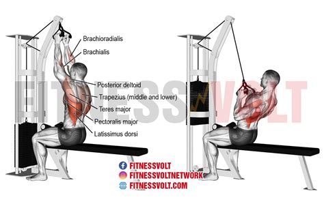 Narrow Grip Lat Pulldown