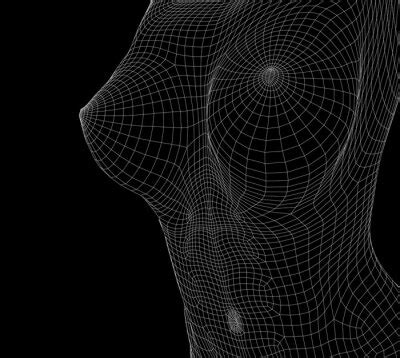 Beautiful Naked Woman Poses Female Body D Wireframe Vector