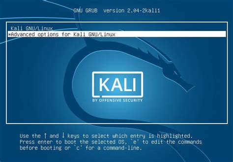 Kali Linux忘记root账号密码的解决方法 星火撩原 博客园