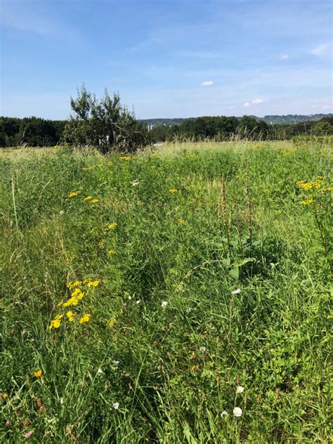 Balade Quevillaise Parcours Grand Quevilly