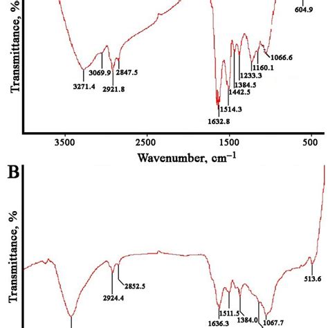 Fourier Transformed Infrared Ftir Spectroscopy Analysis Of Agnps A