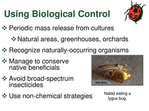 What Are The Biological Control Of Pest At Carlos Thompson Blog