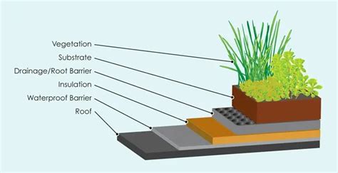 Interview Amy Norquist Of Greensulate Talks Green Roofs And