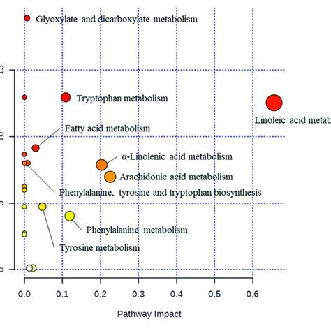 Metabolic Pathway Analysis The Metabolome View Presents Pathways