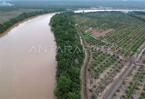 Kondisi Kawasan Penyangga Cagar Alam Mangrove Antara Foto