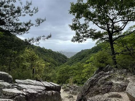 六甲山（芦屋→有馬王道ルート） ずんだーさんの六甲山・長峰山・摩耶山の活動データ Yamap ヤマップ