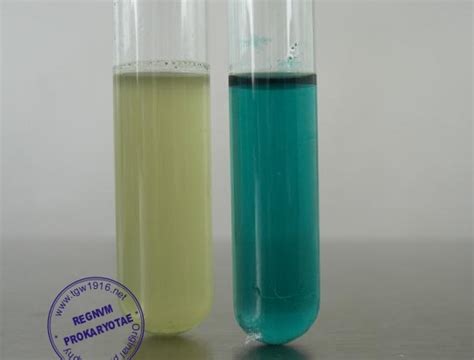 Питательный бульон для накопления сальмонелл по раппапорту-вассилиадису ...