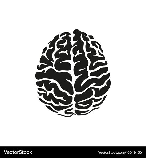 Brain Svg Anatomy Brain Svg Human Brain Svg Etsy Images