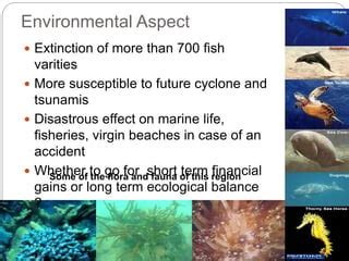 Biodiversity Of Gulf Of Mannar PPT