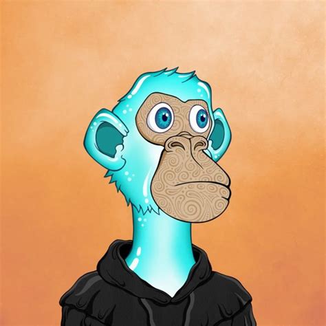 tim deasy creative director  valhalla labs  org