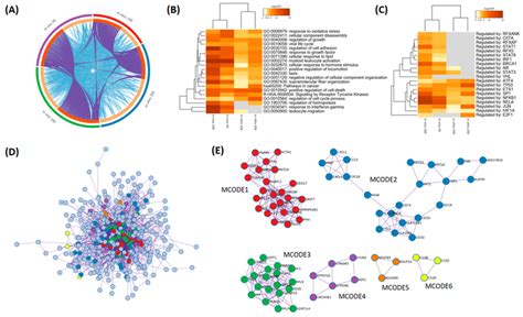 Systems Level Metascape Analysis Of Transcriptome Profiles Of Thalassia