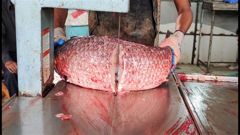 Super Fast Big Rohu Fish Cutting By Machine Expert Cutter In Fish