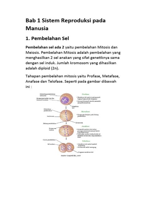 Bab 1 Sistem Reproduksi Pada Manusia Pdf