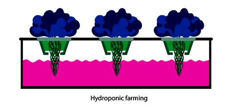 Understanding Hydroponic Farming: An In-Depth Guide