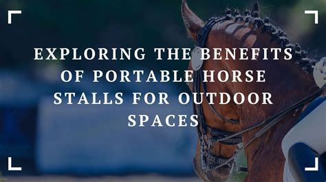 Exploring the Benefits of Portable Horse Stalls for Outdoor Spaces