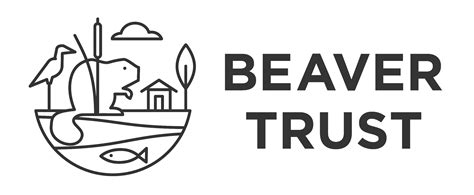 Beaver Trust Wildlife And Countryside Link