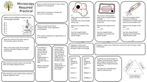 Microscopy Required Practical Mat Aqa Gcse Biology Teaching Resources