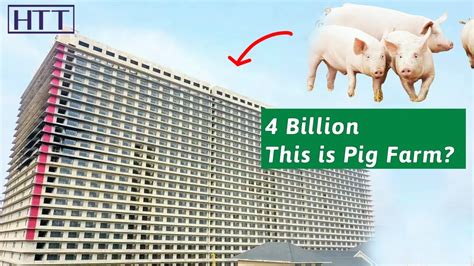 Billion To Build A Story Building To Raise Pigs Chinas