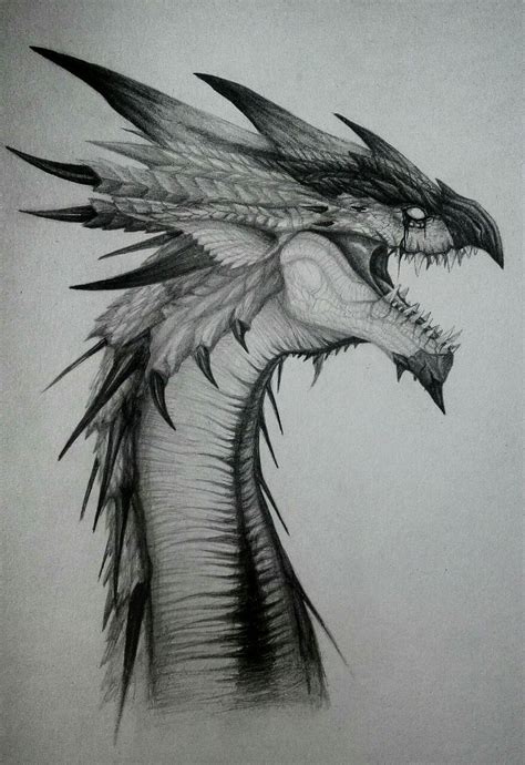 Monster Hunter Things: Photo | Draken tekeningen, Draak tekening ...