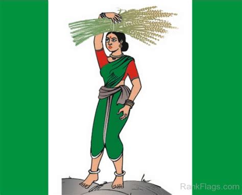 Flag Of Janata Dal (Secular) - RankFlags.com – Collection of Flags