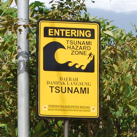 What to Do When a Tsunami Strikes Bali