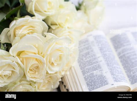 White Roses And The Bible White Roses And The Bible On A White Wooden