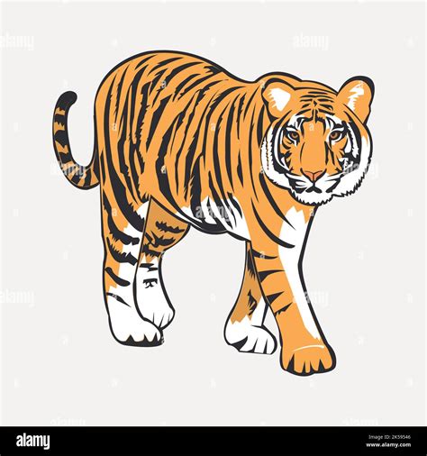 Tiger Clipart Animal Illustration Vector Stock Vector Image And Art Alamy