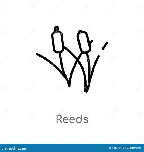 Outline Reeds Vector Icon Isolated Black Simple Line Element