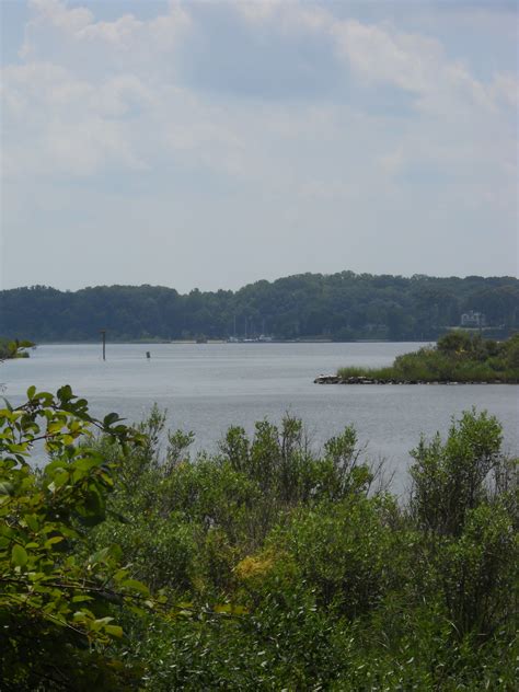 Trails Abound in Anne Arundel County | Annapolis, MD Patch