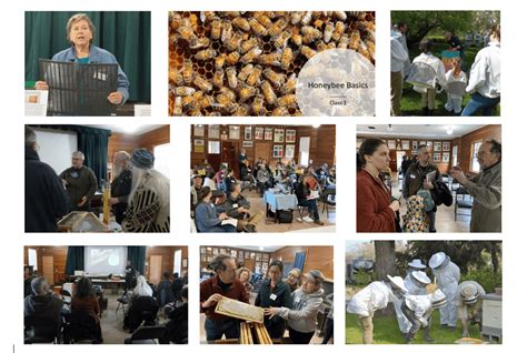 Beginning Beekeeping A Peek Inside The Course Ejbees East Jefferson