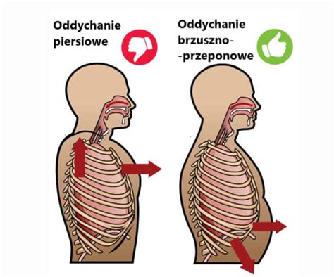 Znaczenie Oddechu W Treningu Akademia Hipertrofii