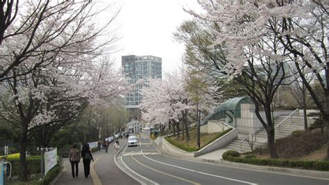 Sogang University | Korea university, Aesthetic korea, Seoul