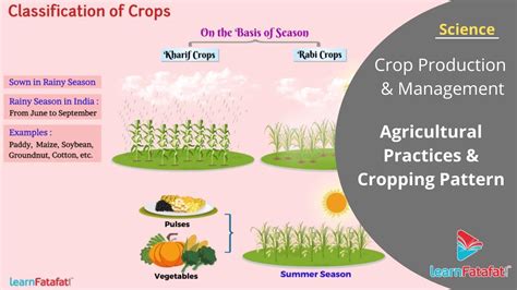 Crop Production And Management Class 8 Science Agricultural Practices And Cropping Pattern