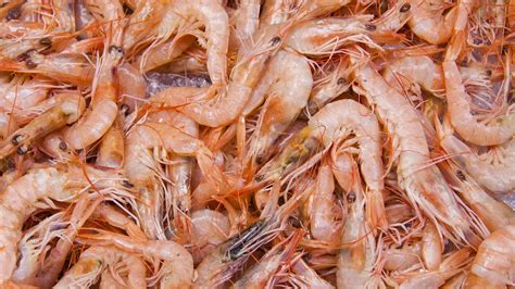 Qué diferencia hay entre la gamba el gambón y el langostino