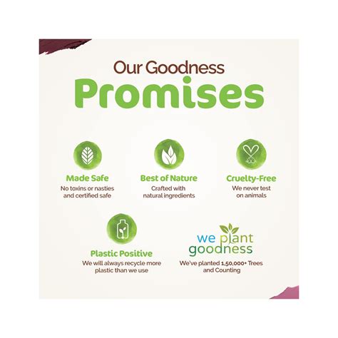 Mamaearth Carnation Nude Lipstick Gm Cureka Online Health Care Products Shop